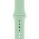 Ремешок Silicone Sport Band для Apple Watch 42mm (Series 1-3) / 44mm / 45mm / 46mm / 49mm Ultra, размер L (большой) &mdash; силиконовый &mdash; Beryl / Зелёный A27218 фото