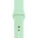 Ремешок Silicone Sport Band для Apple Watch 42mm (Series 1-3) / 44mm / 45mm / 46mm / 49mm Ultra, размер L (большой) &mdash; силиконовый &mdash; Pistachio / Зелёный A27118 фото