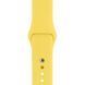 Ремешок Silicone Sport Band для Apple Watch 42mm (Series 1-3) / 44mm / 45mm / 46mm / 49mm Ultra, размер L (большой) &mdash; силиконовый &mdash; Canary Yellow / Жёлтый A27152 фото