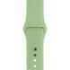 Ремешок Silicone Sport Band для Apple Watch 42mm (Series 1-3) / 44mm / 45mm / 46mm / 49mm Ultra, размер L (большой) &mdash; силиконовый &mdash; Mint Gum / Мятный A26850 фото