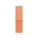 Ремешок Nylon Loop для Apple Watch 42mm (Series 1-3) / 44mm / 45mm / 46mm / 49mm Ultra &mdash; нейлоновый &mdash; Spicy Orange / Оранжевый A26893 фото