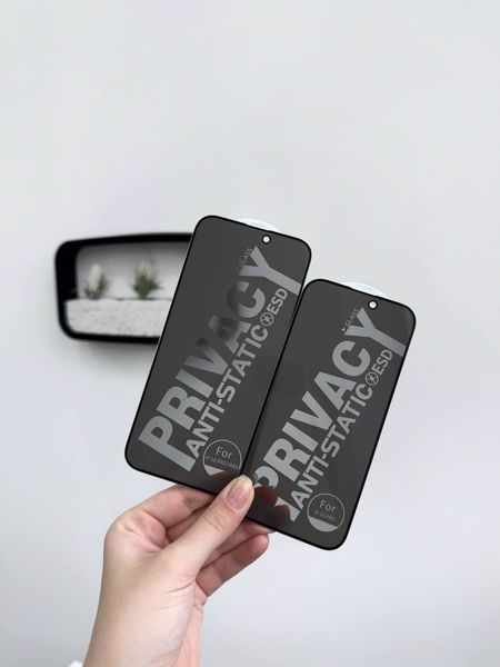 Скло захисне Privacy для iPhone X-XS A24688 фото