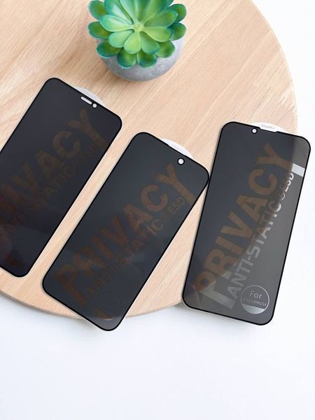 Скло захисне Privacy для iPhone X-XS A24688 фото