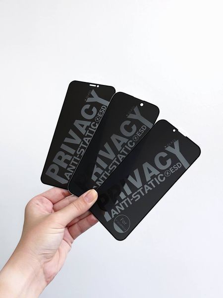 Стекло защитное Privacy для iPhone XR A24465 фото